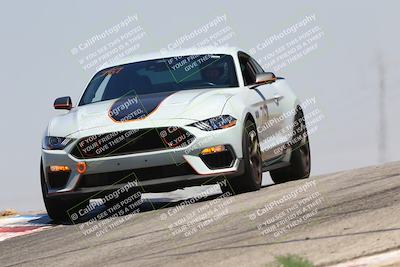 media/Jul-26-2025-Speed Ventures (Sat) [[fe569e6cf0]]/Black Group/Grapvine/